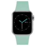 MINTAPPLE. Perfect Fit Silicone Band สายนาฬิกา Apple Watch 42(3)/44/45/46/49mm - Mist Green/Silver