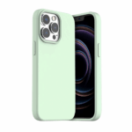 Araree Typoskin M Case เคส iPhone 13 Pro - Mint